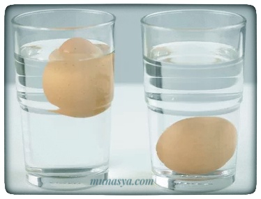 Telur di air