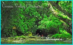 Wisata hutan