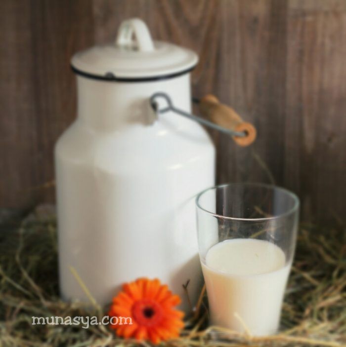 10 Manfaat Susu Kambing
