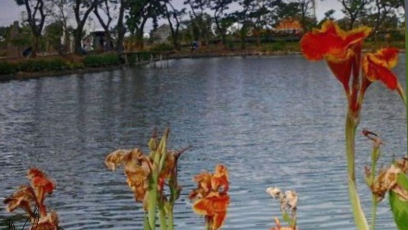 Fakta Unik dan Menarik Dari Kebun Bibit di Kota Surabaya