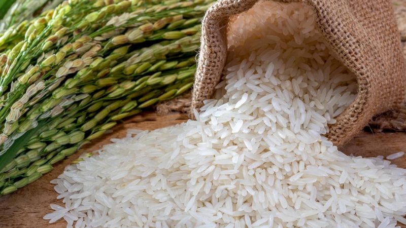 Perjalanan Panjang Padi dari Sawah Menjadi Nasi di Meja