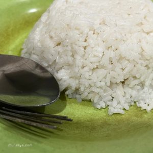 Nasi putih